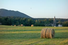 Landscape Field Hill