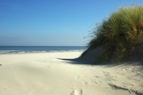 Beach Sea Ameland