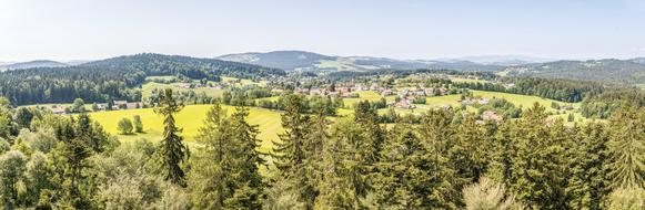 NeuschÃ¶nau Bavarian Forest View