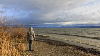 Stormy Winter Lake Constance