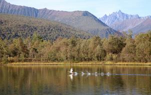 Water Lake Nature