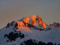 Alpengluhen Red Alpines at sunset