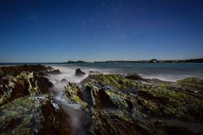 Beach Nature Night