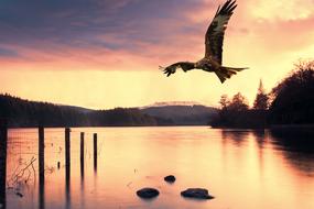 Sunset Water Dawn