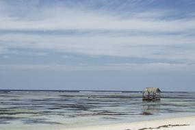 Seascape of Ocean Water