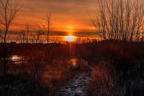 Dawn Sunset Nature landscape