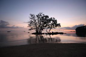 Sunset Water Nature
