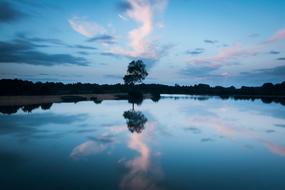 Sunset Tree Sky