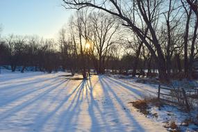 Snowy Park at Sunset