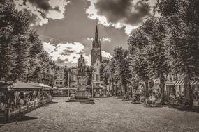 Brugge Square Trees