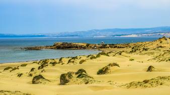Beach Dunes Sand