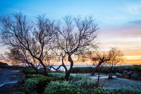 Landscape Sea Morning