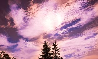 Purple Sky Sunset