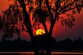 Sunset Landscape