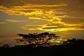 Sunset Dawn Dusk