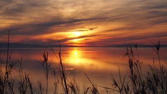 Sunset Evening Light