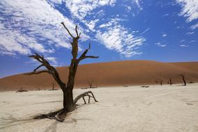 Sossusvlei Deadvlei Desert