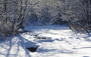 River Back On Track Bend