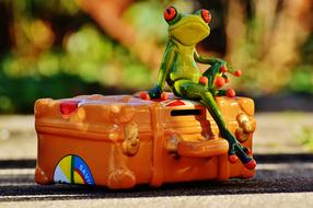 Frog Travel Vacations
