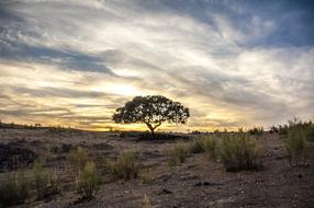 Landscape Panoramic Nature