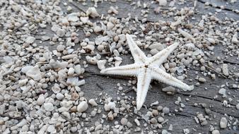 Star Sand Beach