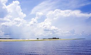 Amazonian Landscape