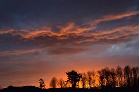 Sunset Trees Landscape