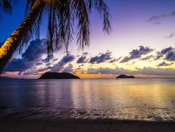 Sunset Palm on shore