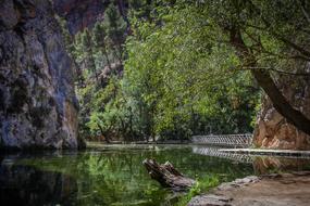 Nature Tree Body Of Water
