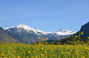 Hiking Alpine Landscape