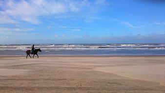 Waters Sea Beach
