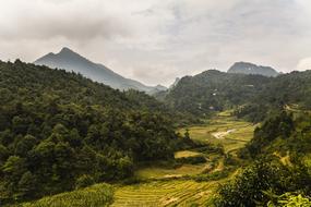 Vietnam Travel Asia