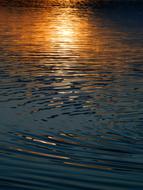 Water Reflection In The