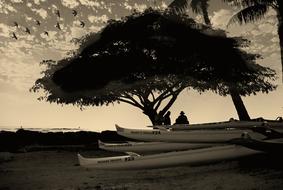 people near boats on beach at Dusk, usa, Hawaii