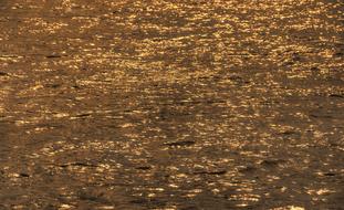 Water Reflexion River