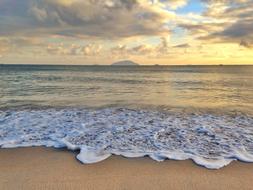 Beach Shore Wave