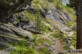 Trail Hiking Swiss Alps