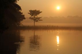 Sunrise Dawn Water at morning