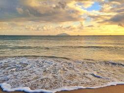 Beach Shore Wave