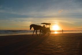 Sunset Silhouette Beach
