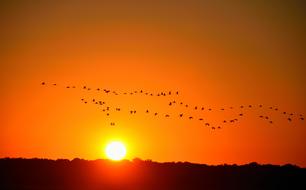 Sunset Orange Sky Nature