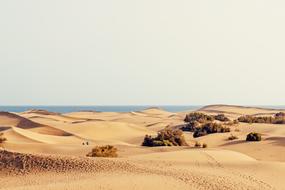 Dunes Holiday Sand