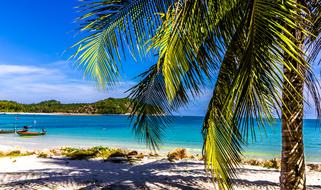 Vacations Beach Palm