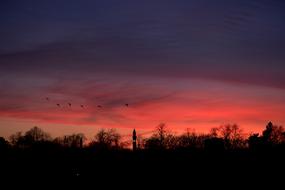 Sunset Dawn Nature