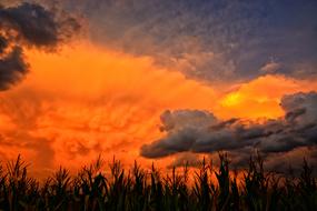 Sunset Natural Sky