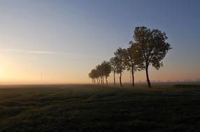 Sunset Nature Dawn