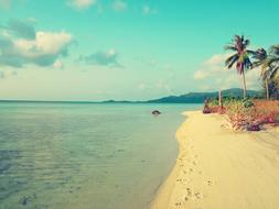 Beach Island Sea