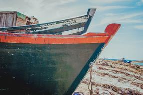Boat Sea Life