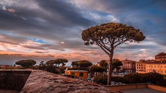 Frascati Rome Sunset