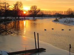 Sunset Snow Landscape Ducks